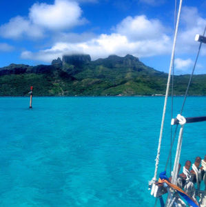 Meet your Posher, Margie